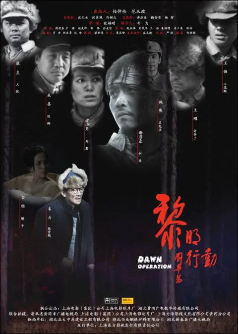 Dawn Operation Movie Poster, 2009, Actress: Anya Wu, Chinese Film
