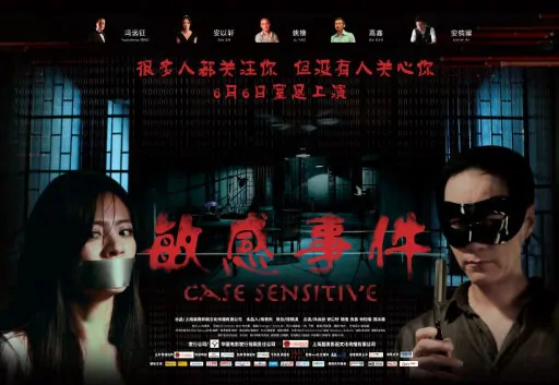 Case Sensitive Movie Poster, 2011