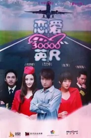 Love at 30000 Feet Movie Poster, 2012