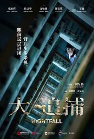 Nightfall Movie Poster, 2012 Hong Kong Movie
