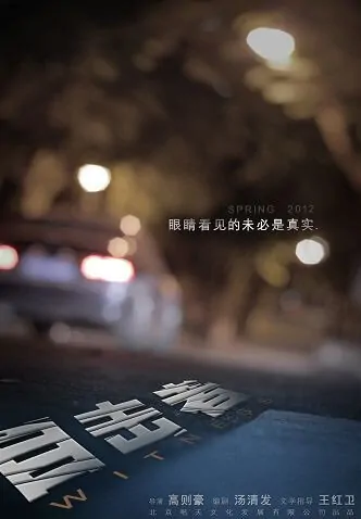Witness Movie Poster, 2012