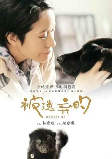 Desertion Movie Poster, 2013, Chinese Film
