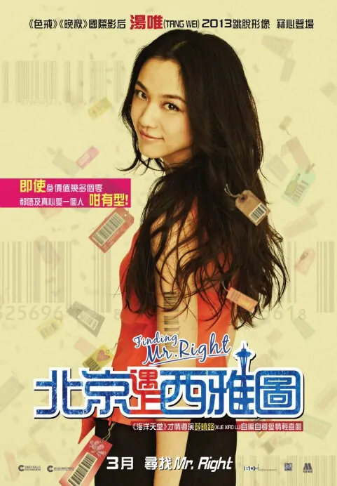 Finding Mr. Right Movie Poster, 2013