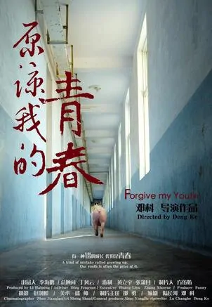 Forgive My Youth Movie Poster, 2013