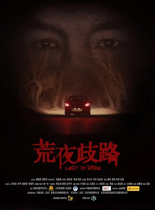 Lost in Dark Movie Poster, 2013