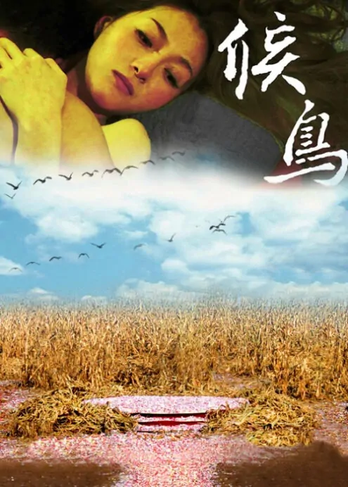 Migratory Bird Movie Poster, 2013 Chinese film
