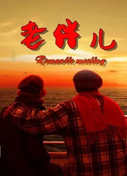 Romantic Meeting Movie Poster, 2013