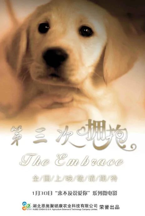 The Embrace Movie Poster, 2013