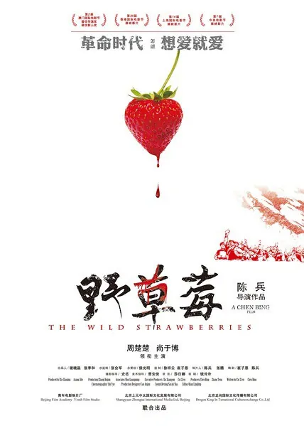 The Wild Strawberries Movie Poster, 2013