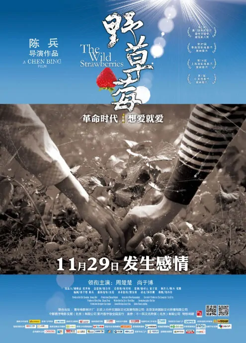 The Wild Strawberries Movie Poster, 2013