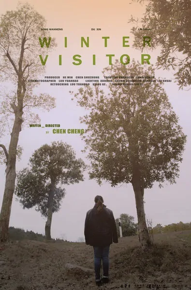 Winter Visitor Movie Poster, 2013