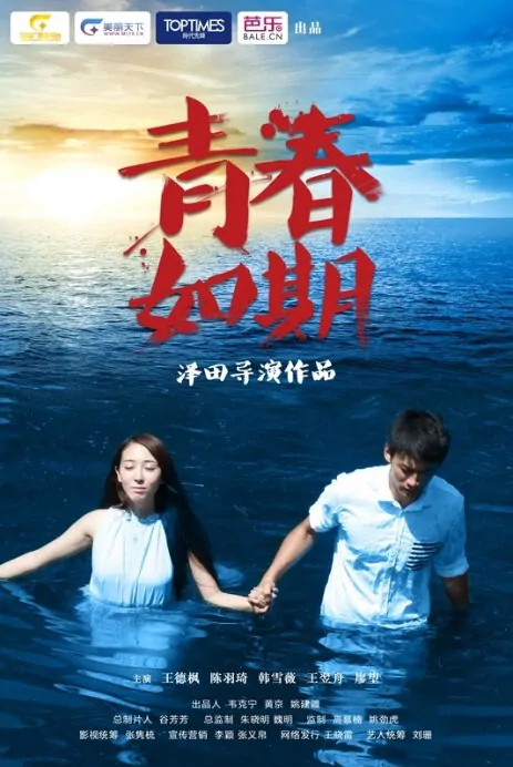 Youth on Schedule Movie Poster, 2013