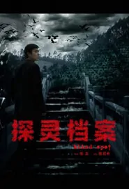 Blind Spot Movie Poster, 2014