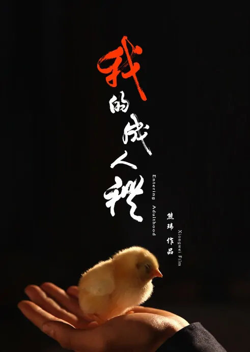 Entering Adulthood Movie Poster, 2014 chinese movie