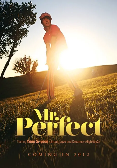 Mr. Perfect Movie Poster, 2014 film