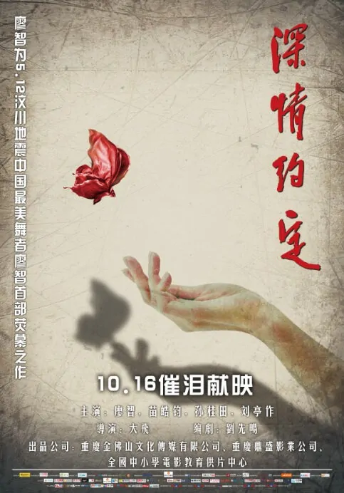 Promise Movie Poster, 2014