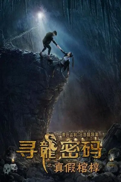 Dragon Password Movie Poster, 2015 Chinese film