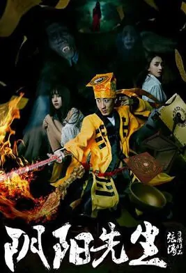 Mr. Yin-Yang Movie Poster, 2015 Chinese film