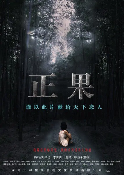 The Right Way Movie Poster, 2015 Chinese film