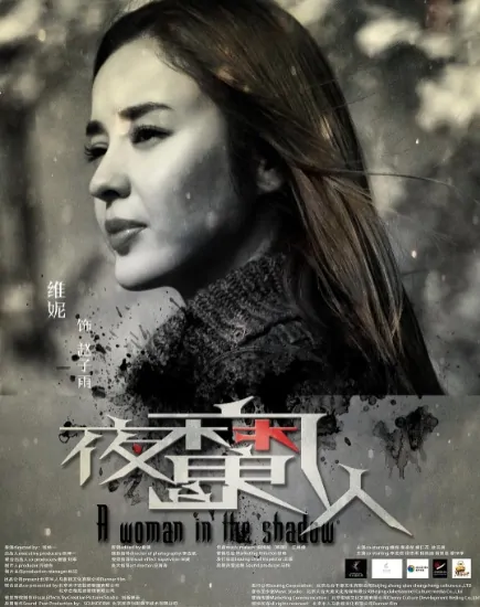 A Woman in the Shadow Poster, 2016 Chinese TV drama series