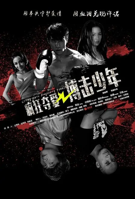 Crazy Love, Fighting Youth Movie Poster, 2016 Chinese film