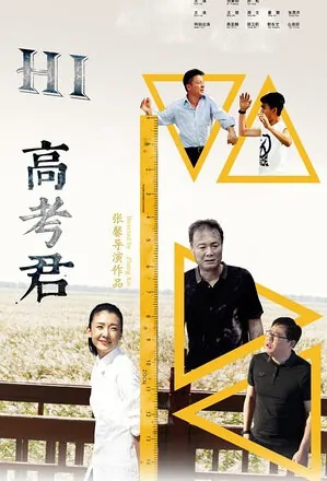 Hi, Examinee Movie Poster, 2016 Chinese film
