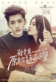 Never Gone Movie Poster, 2016 Chinese film