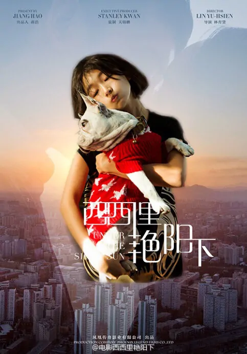 Never Said Goodbye Movie Poster, 2016 Chinese film