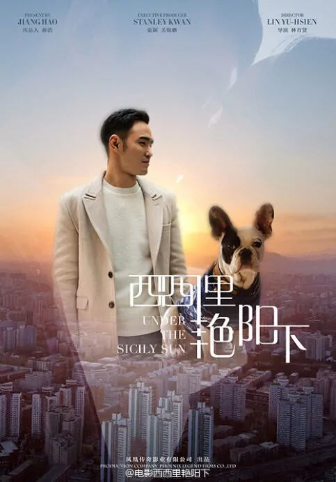 Never Said Goodbye Movie Poster, 2016 Chinese film