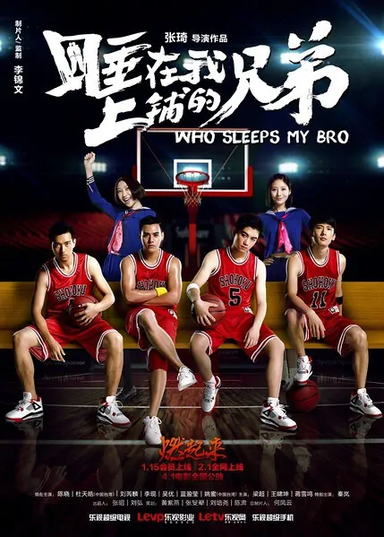 Who Sleeps My Bro Movie Poster, 2016 Chinese film