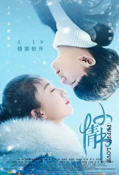 Puppy Love Movie Poster, 小情书 2017 Chinese movie