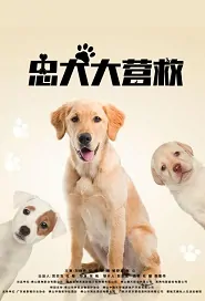 Dog Rescue Movie Poster,  忠犬大营救 2018 Chinese film