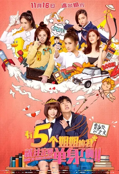 How to Train Our Dragon Movie Poster, 有五個姊姊的我就註定要單身了啊！ 2018 Taiwan film