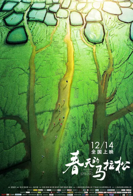 Running to the Spring Movie Poster, 春天的马拉松 2018 Chinese film