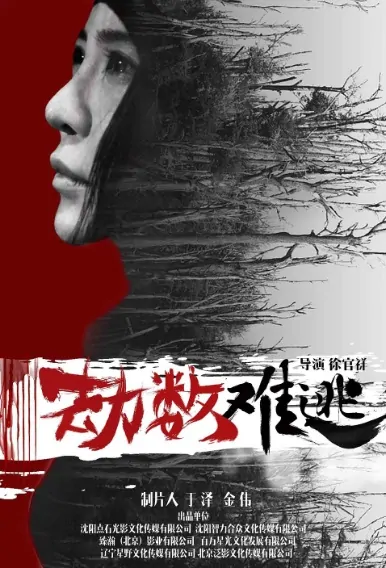Doomed Movie Poster, 劫数难逃 2019 Chinese film