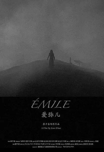 Emile Movie Poster, 爱弥儿 2020 Chinese film