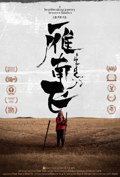 Heading South Movie Poster, 雁南飞 2020 Chinese film