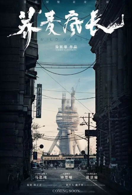 Wild Grass Movie Poster, 荞麦疯长 2020 Chinese film