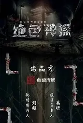 Alluring Detective Movie Poster, 2021 绝色神探 Chinese movie