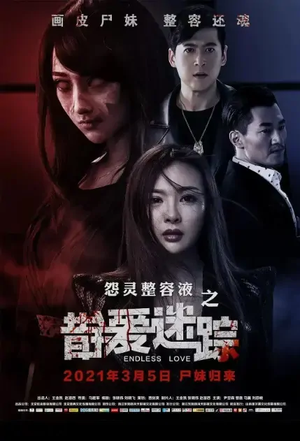 Endless Love Movie Poster, 2021 错爱迷踪 Chinese movie