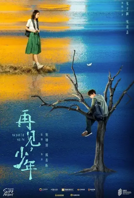 Farewell, My Lad Movie Poster, 再见，少年 2021 Chinese movie