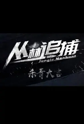Jungle Manhunt Movie Poster, 2021 丛林追捕 Chinese film