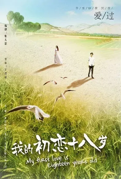 My First Love Is Eighteen Years Old Movie Poster, 我的初恋十八岁 2021 Chinese film