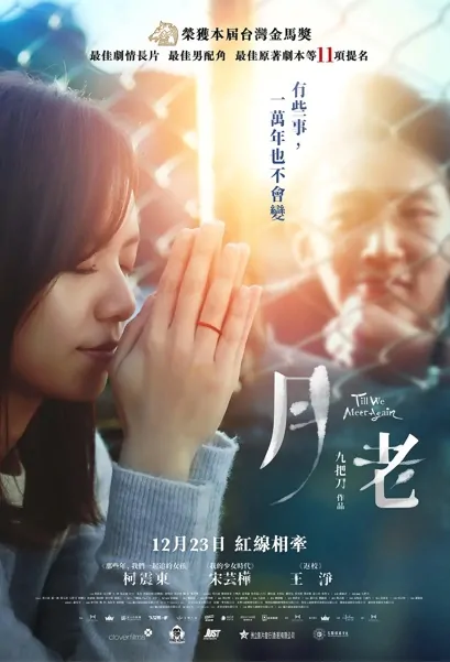 Till We Meet Again Poster, 2021 Chinese TV drama series
