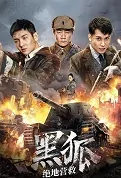 Black Fox Movie Poster, 2022 黑狐之绝地营救 Chinese movie