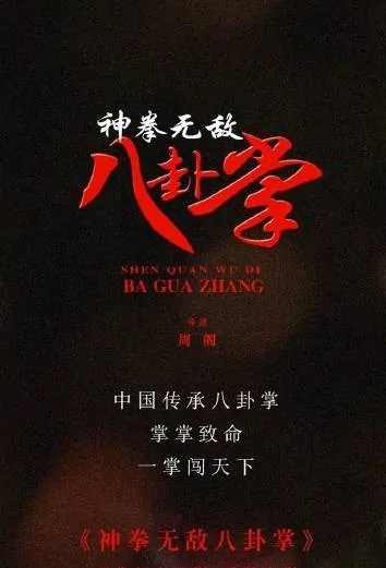 Eight Trigram Palm Movie Poster, 2022 神拳无敌八卦掌 Chinese movie