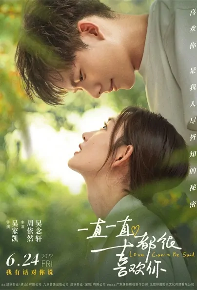 Love Can't Be Said Movie Poster, 2022 我不能告白的理由 Chinese movie