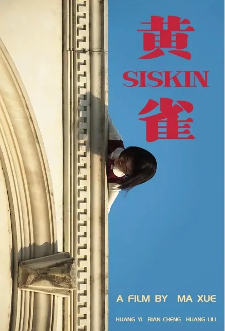 Siskin Movie Poster, 2022 黄雀 Chinese movie