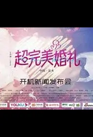 The Perfect Wedding Movie Poster, 2022 超完美婚礼 Chinese movie