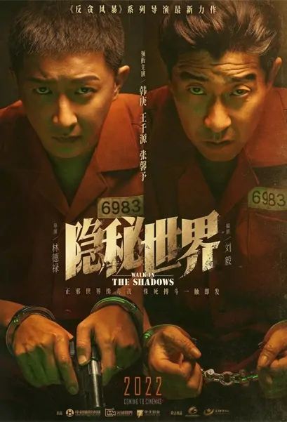 Walk in the Shadows Movie Poster, 隐秘世界 2022 Chinese film